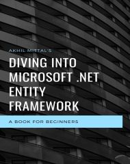 Diving Into Microsoft .NET Entity Framework