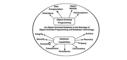 Object Oriented DBMS