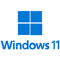 Windows 11